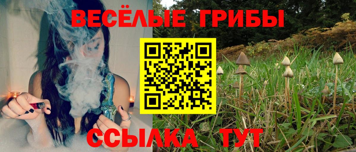 Псилоцибиновые грибы мухоморы Рубцовск