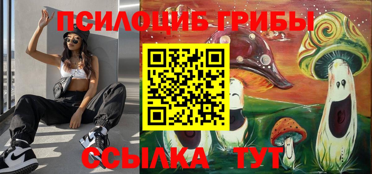 Псилоцибиновые грибы Psilocybine cubensis  Вход с VPN  как найти закладки  Рубцовск 